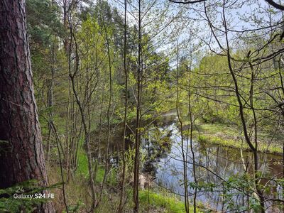 Privaatne jõeäärne kinnistu
