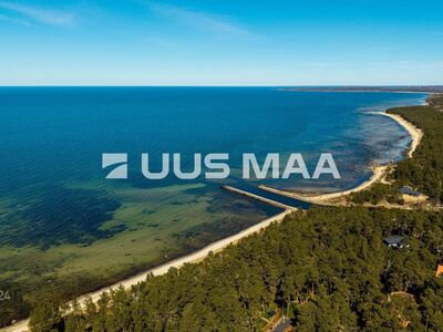 Männimetsad, rand ja kvaliteetne elukeskkond