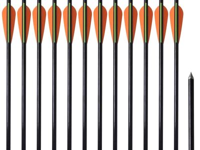 Standardse blokkvibu nooled 30 tolli 0,8 cm klaaskiust 12 tk