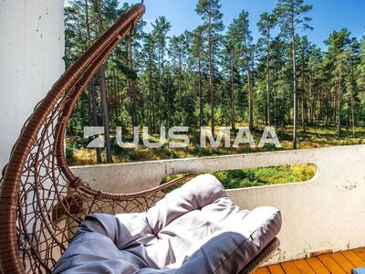 Vaade männimetsa mõlemast magamistoast!