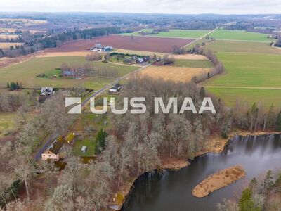 Looduslähedane kinnistu paisjärve ääres