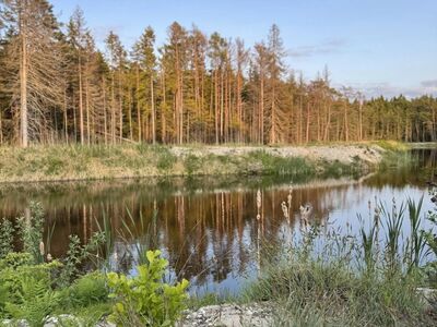Eksklusiivne oma järvega kinnistu Rooslepas!