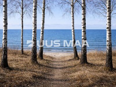 KAMPAANIAHIND JUULIKUU LÕPUNI -20 000€!