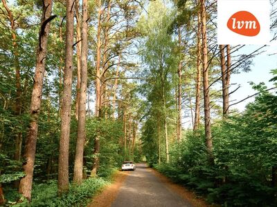 Paatsalu poolsaar – koht, kus meelerahu on loomulik olek