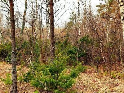 MÜÜA SUUR ELAMUMAA KRUNT HAAPSALU LÄHEDAL – PUSKU KÜLAS