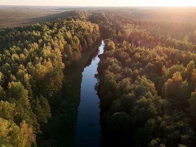 AVALIKU TEE JA JÕEGA PIIRNEVAD KINNISTUD