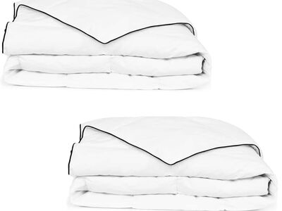 vidaXL talvine suletekk, 2 tk, 140 x 200 cm