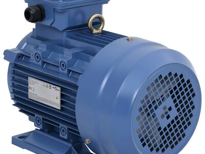 vidaXL 3-faasiline elektrimootor 3 kW/4 hj 2 poolust 2840 p/min