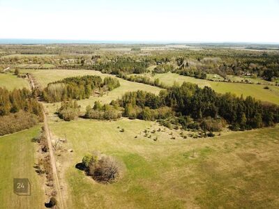 1,7 ha kaunist Muhu loodust!