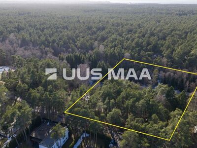 PRIVAATNE ROHELINE OAAS PIRITA SÜDAMES – KLOOSTRIMETSAS