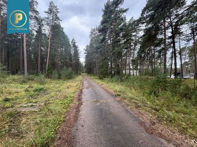 KUURORTLINNAS HEA HINNAGA MAATÜKID MÜÜGIS