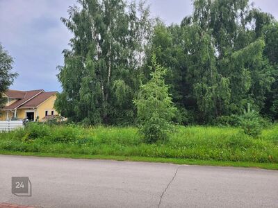 Kõrghaljastusega kinnistu Leegirannas