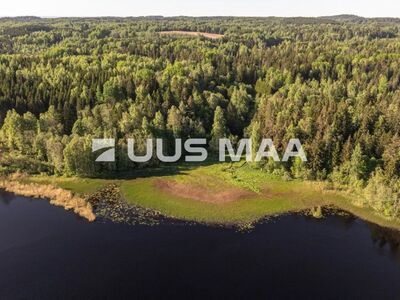 Kesk metsikut Võrumaa loodust 50,13ha! Järv, ehitusõigus.
