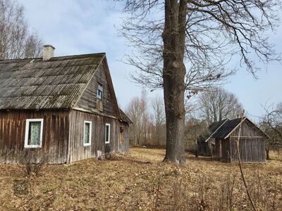 Oma metsaga kinnistu!