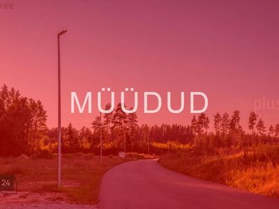 Suur metsaäärne elamukrunt