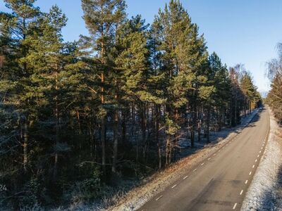 Männimetsaga kinnistu