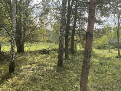 Vaikne koht Märjamaa ilusas aedlinnas!