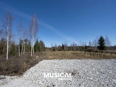 Müüa 2005 m² elamumaa Kauksi piirkonnas