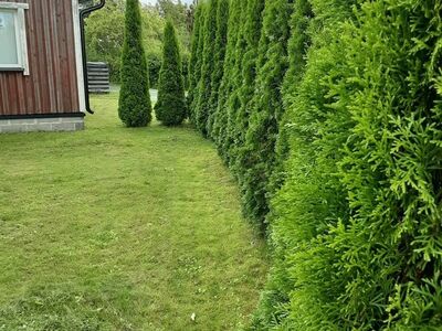 Suvila Tammistes/Pärnus