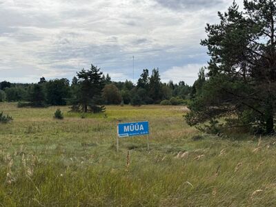 Ostes üks võid valida kolme vahel!