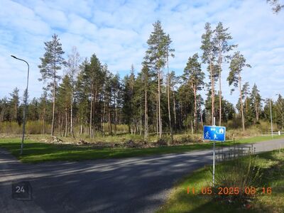 Kohilas, Viigi Põik 1 kodumaja oma männimetsa