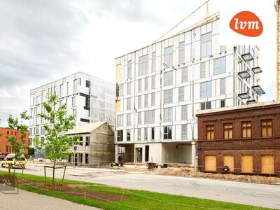Omaette sissepääs, vitriinaknad Raatuse Residentsis!