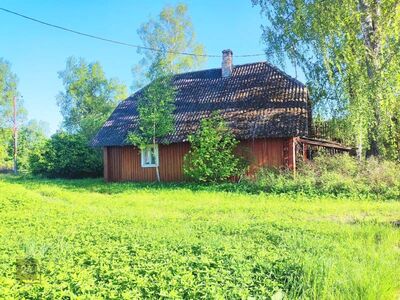 Purtsi jõe ääres vana talu koht metsaga