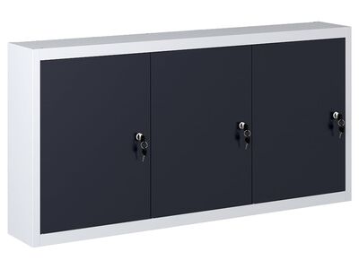vidaXL seina tööriistakapp, tööstuslik, metall, hall ja must