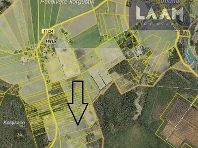 Põllumajandusmaa 9,28 ha
