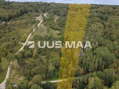 Müüa 6,9 ha metsakinnistu Letipea külas / Metsamajandamiskava!