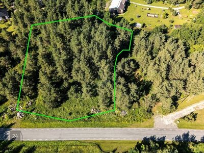 Kõrghaljastusega, looduskaunis kinnistu!