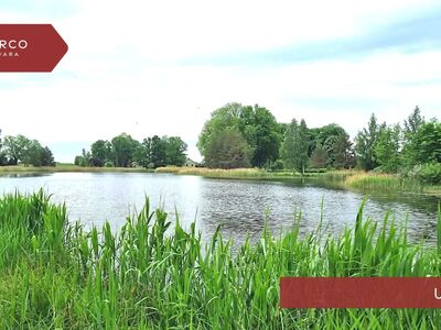 Järveäärne kinnistu!