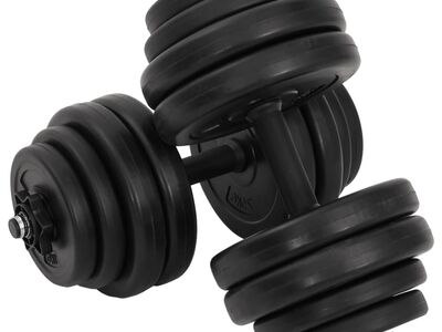 vidaXL hantlid 2 x 15 kg