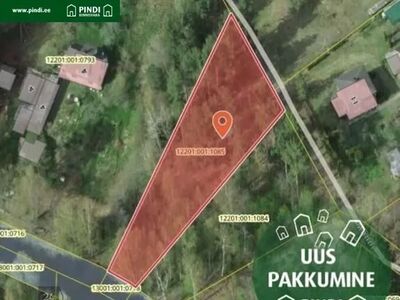 JÕGI TAGAAIAS – ELEKTER OLEMAS!