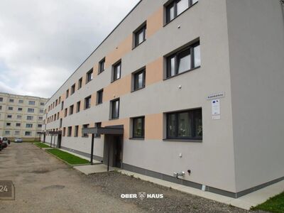 Renoveeritud elamu 2-toaline korter Tartu lähedal!