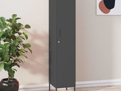 vidaXL lukustatav hoiukapp, antratsiit, 35 x 46 x 180 cm, teras