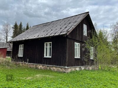 Oma kuusemetsaga kinnistu Veelikses!