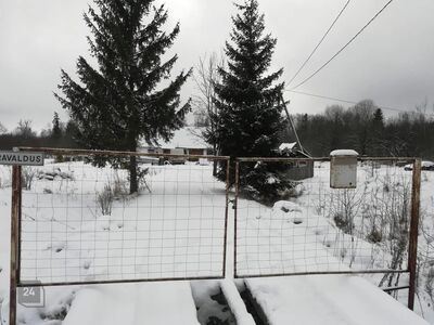 Oksjon: 1/2 kinnistust Soldina küla, Klausi