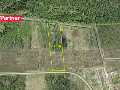 Kasvava metsaga kinnistu Peipsi järve lähedal 1.7 ha!