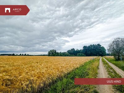 Perspektiivikas 11,8 ha kinnistu vaid 4 km Viljandist.