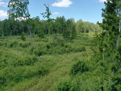 Ehitusvõimalusega kinnistu, 4 km merest