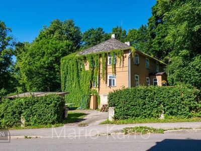 KORTER KESKLINNAS, JÄRVE ÄÄRES, METSA SEES!