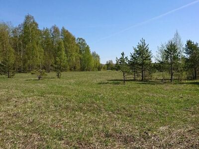 Kaunis Muhu loodus!