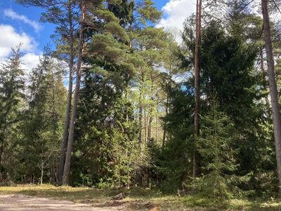 Kaks kinnistut Järve külas!