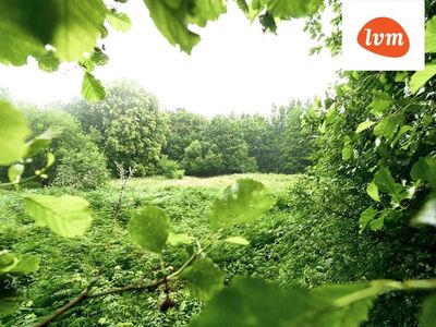 MÜÜA MEREÄÄRNE KINNISTU SÕRVE POOLSAAREL!