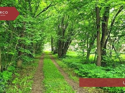 Järveäärne kinnistu!