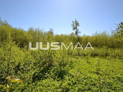 Müüa linnalähedane, privaatne elamukrunt!