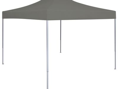 vidaXL kokkupandav pop-up peotelk, 3 x 3 m, antratsiithall