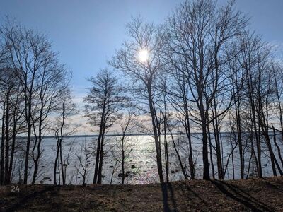Mereäärne kinnistu