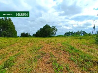 UUS HIND! Müüa 0,78 ha suurune maatükk Rakvere vallas.